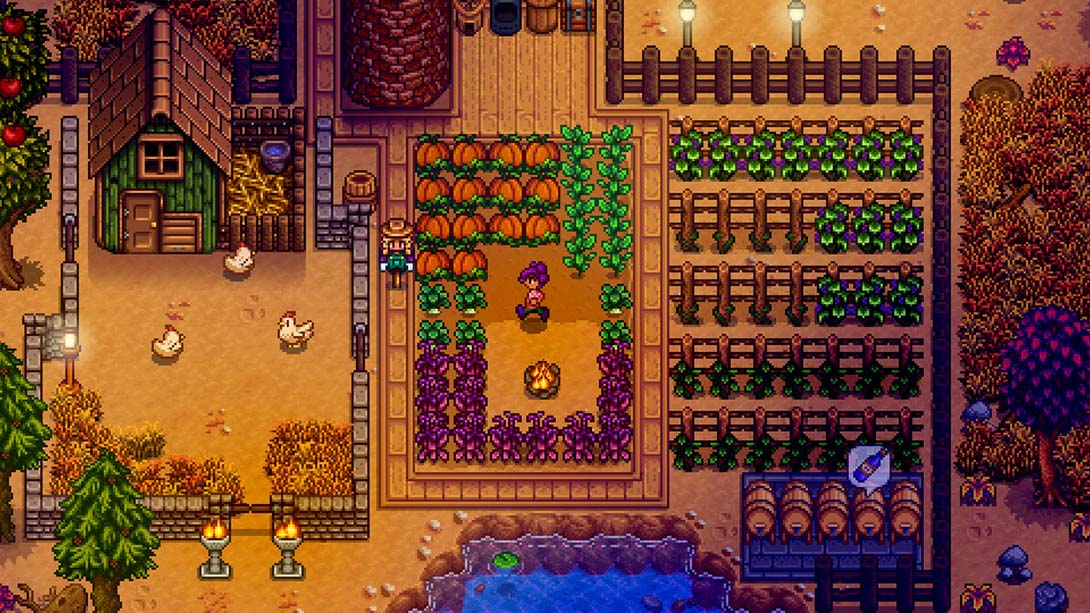 星露谷物语 Stardew Valley
