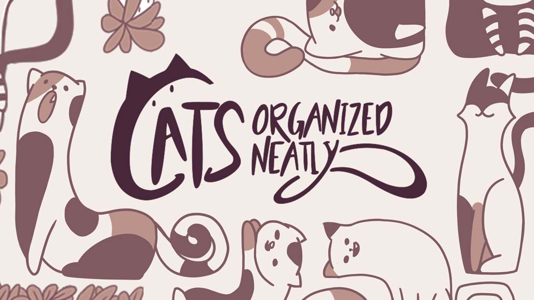 整洁的猫 .Cats Organized Neatly