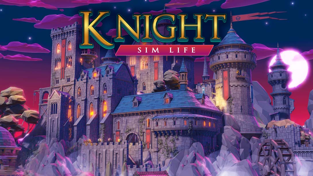 骑士模拟人生 .KNIGHT SIM LIFE