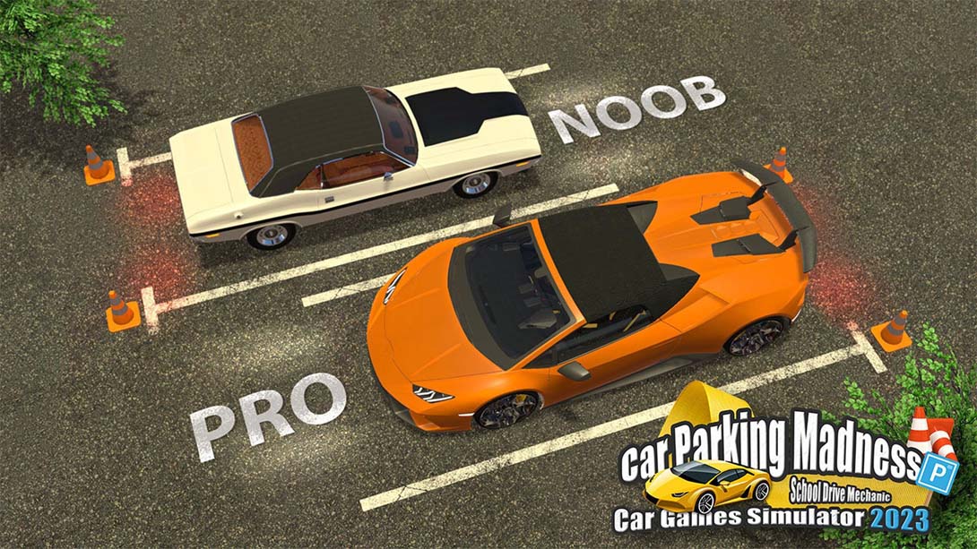 Car Parking Madness