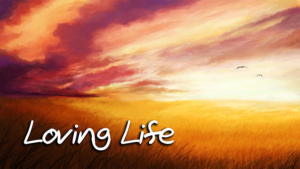 爱生活|Loving Life