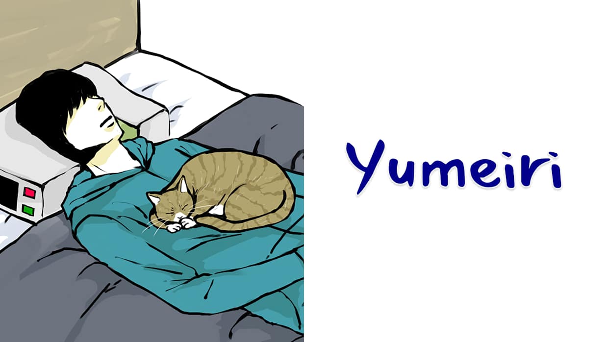 回梦之旅|Yumeiri中文