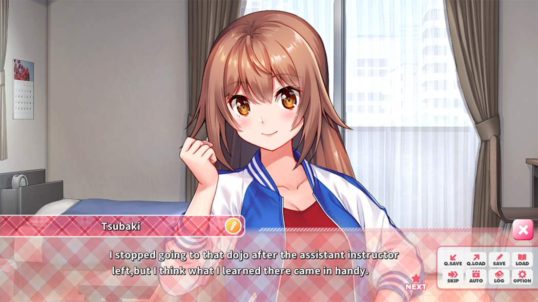 IdolDays 5