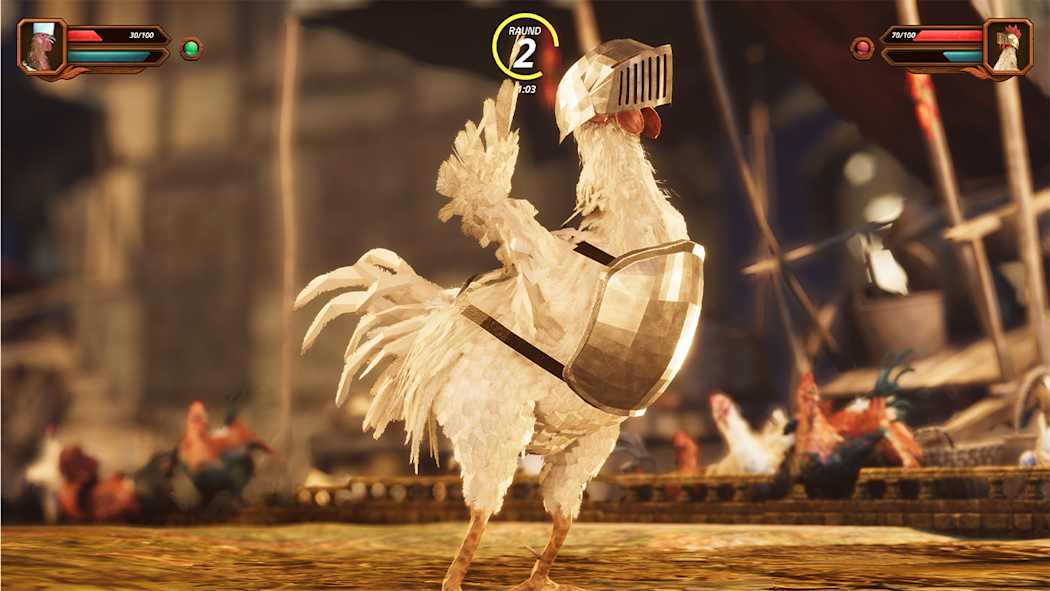 Rooster Wars Arena - MFC Combat Battle 5