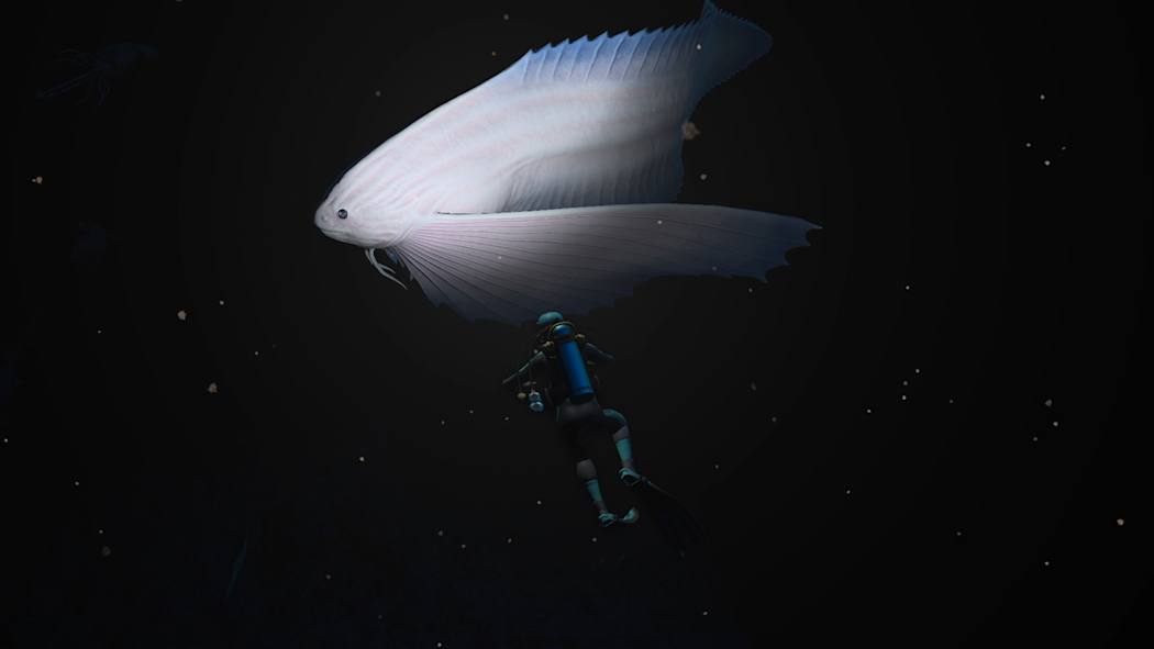 Endless Ocean™ Luminous 10